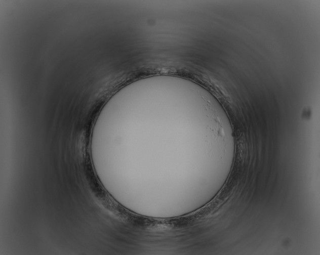 X0000094800594200711160942