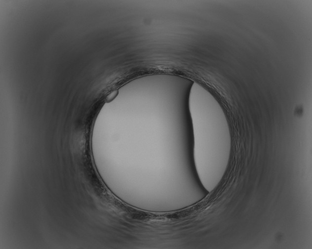 X0000094800595200711160942