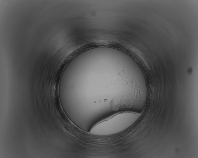 X0000094800596200711160942