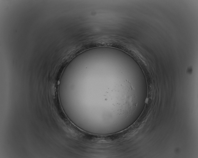 X0000094800597200711160942
