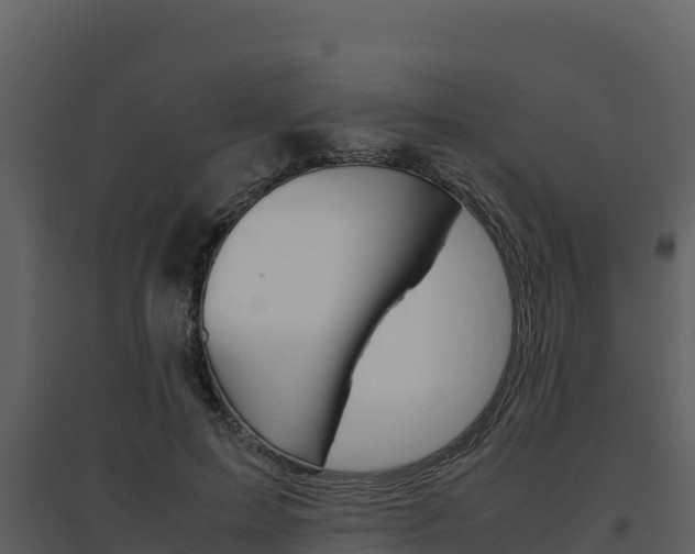 X0000094800599200711160942
