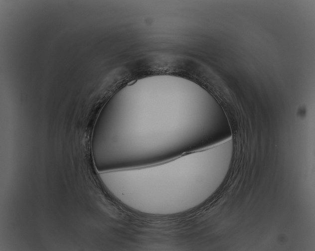 X0000094800601200711160942