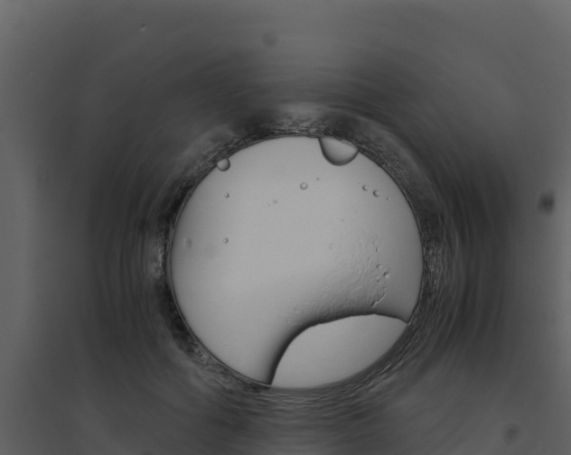 X0000094800602200711160942