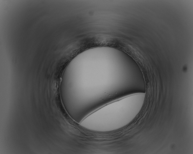 X0000094800605200711160942
