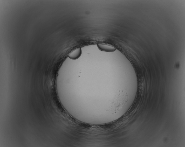X0000094800608200711160942