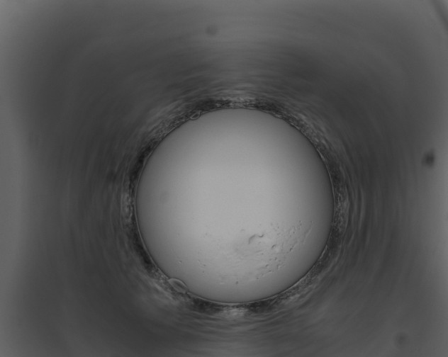 X0000094800609200711160942