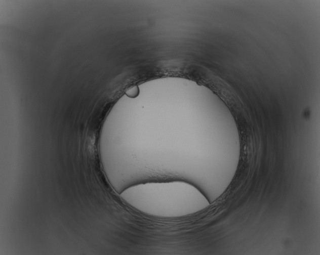 X0000094800610200711160942