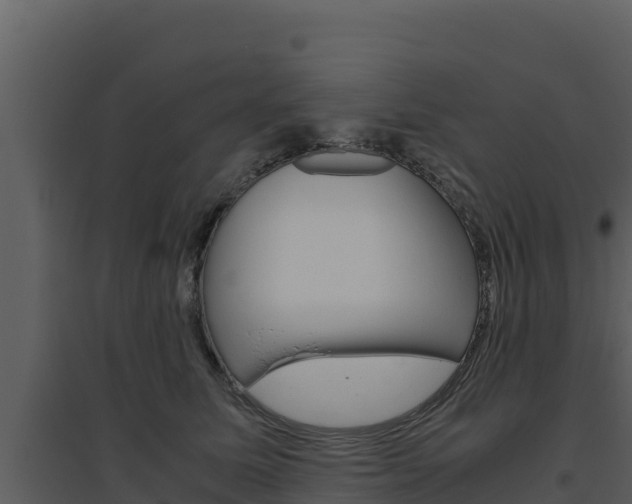 X0000094800611200711160942