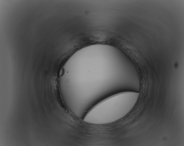 X0000094800612200711160942