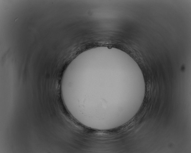 X0000094800614200711160942