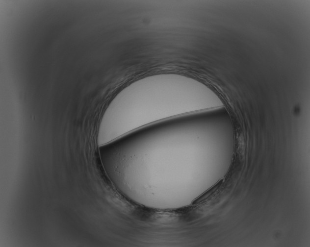 X0000094800617200711160942