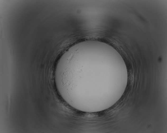 X0000094800619200711160942