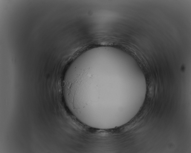 X0000094800620200711160942