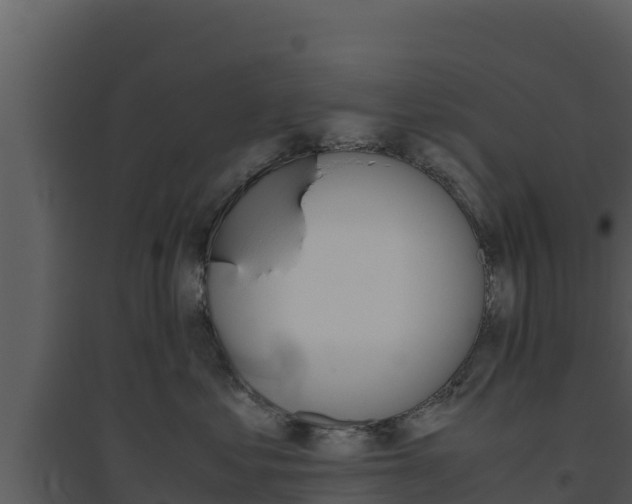 X0000094800621200711160942