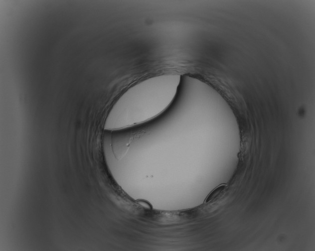 X0000094800623200711160942