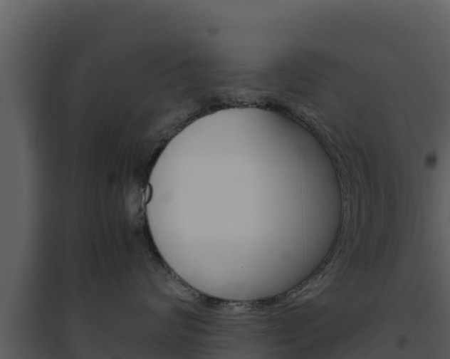 X0000094800624200711160942