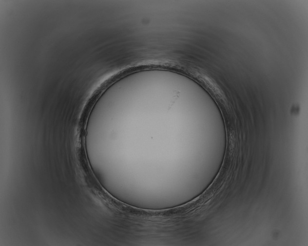 X0000094800628200711160941