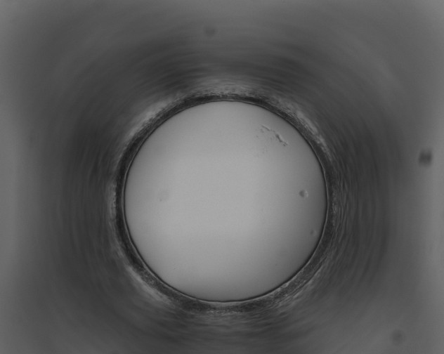X0000094800629200711160941