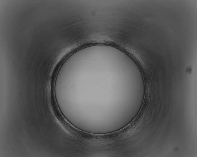 X0000094800630200711160941