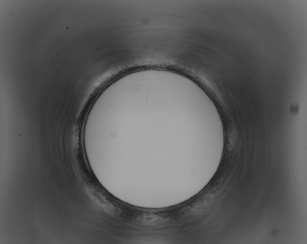 X0000094800632200711160941