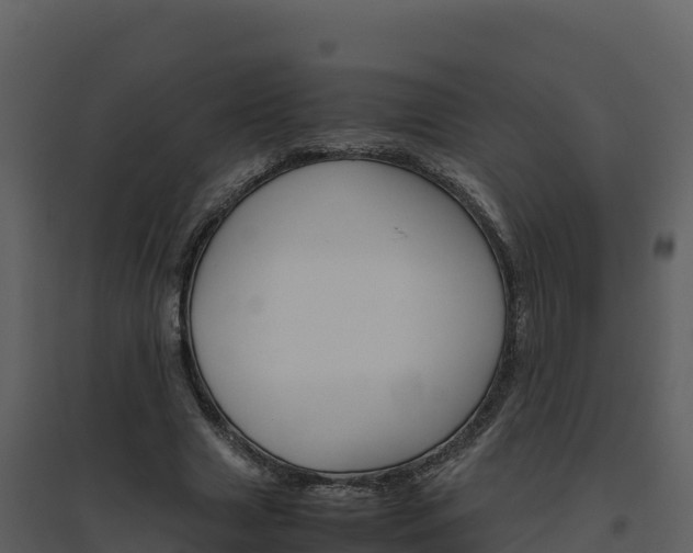 X0000094800633200711160941