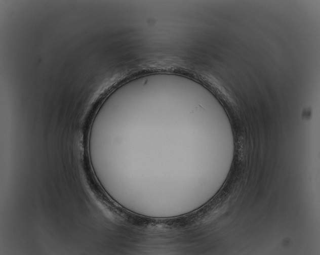 X0000094800634200711160941