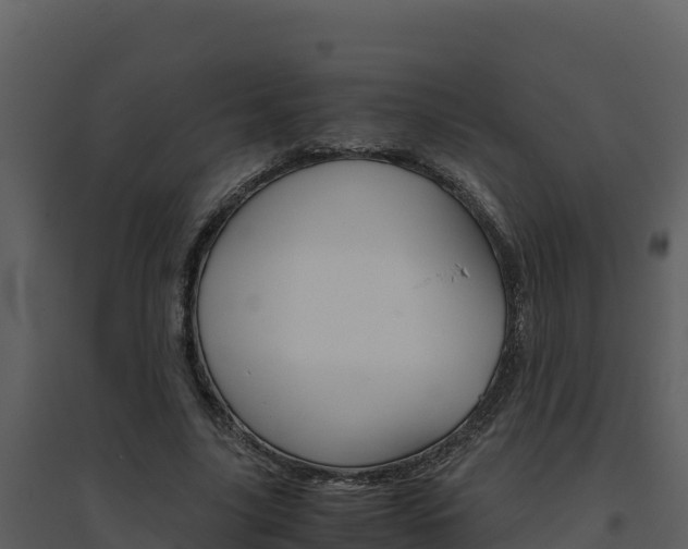 X0000094800635200711160941