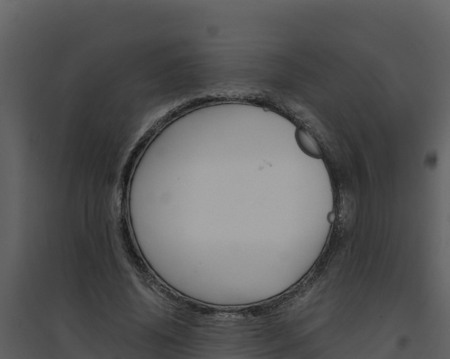 X0000094800636200711160941