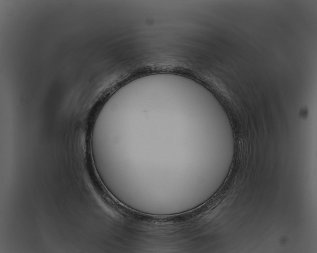 X0000094800638200711160941