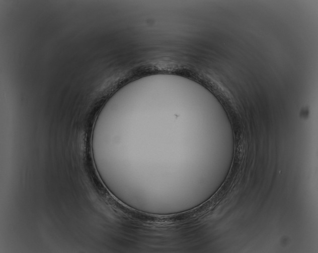 X0000094800639200711160941