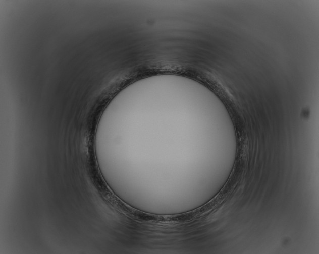 X0000094800643200711160942