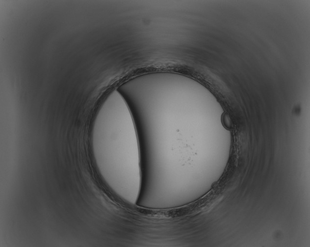 X0000094800644200711160942