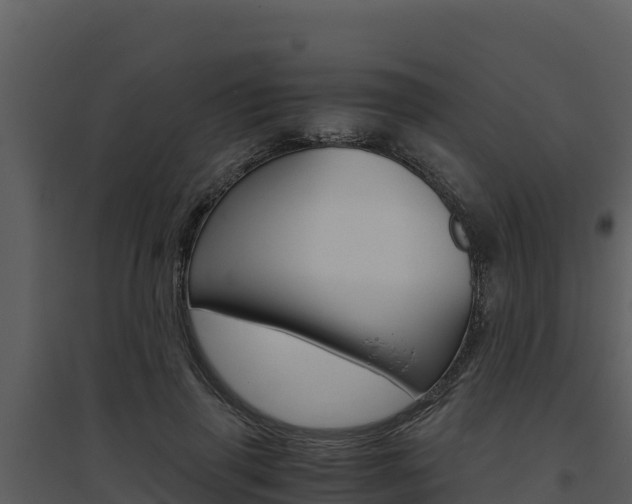 X0000094800645200711160942