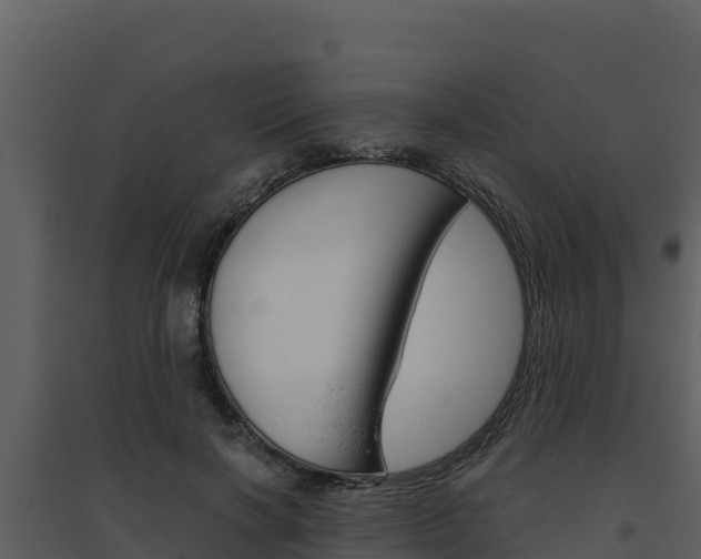 X0000094800646200711160942