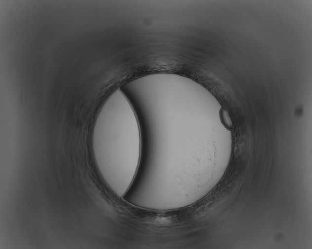 X0000094800647200711160942