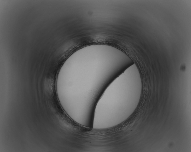X0000094800648200711160942