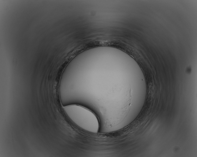 X0000094800650200711160942