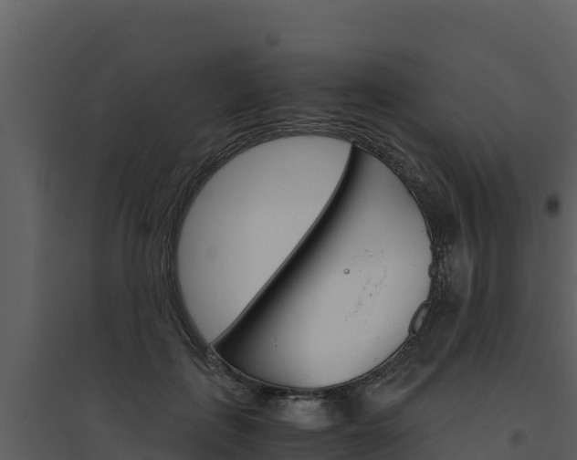 X0000094800651200711160942
