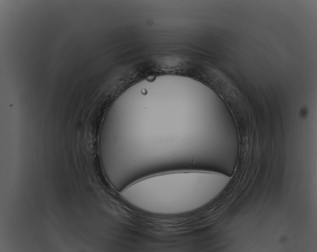 X0000094800653200711160942