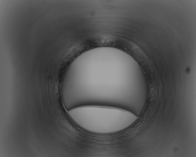 X0000094800654200711160942
