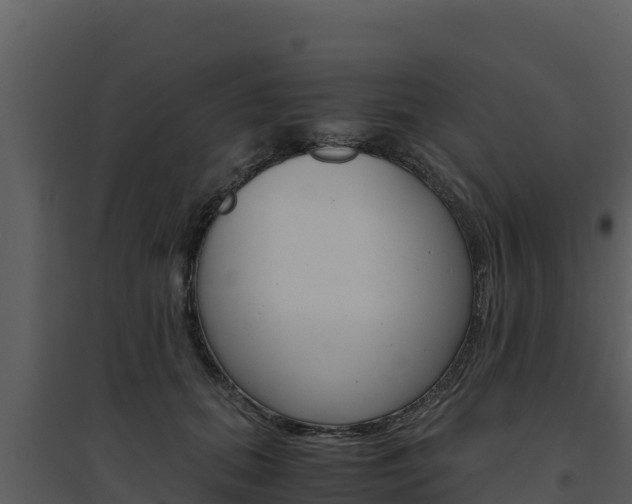 X0000094800655200711160942