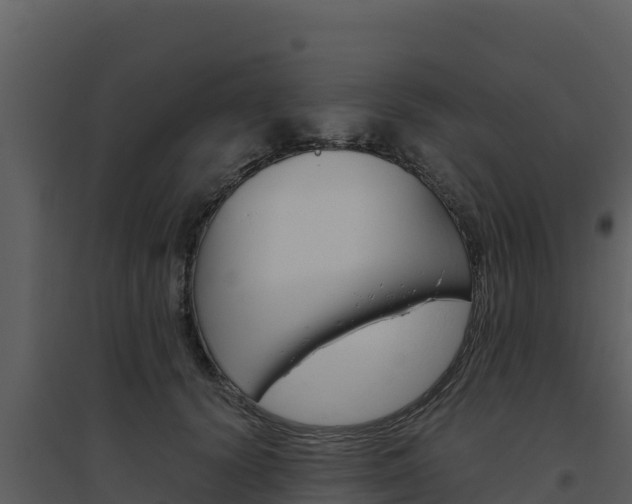 X0000094800656200711160942