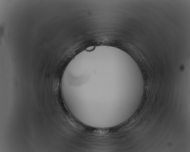 X0000094800660200711160942
