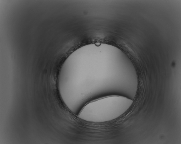 X0000094800661200711160942