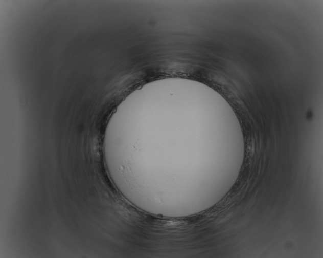 X0000094800663200711160942