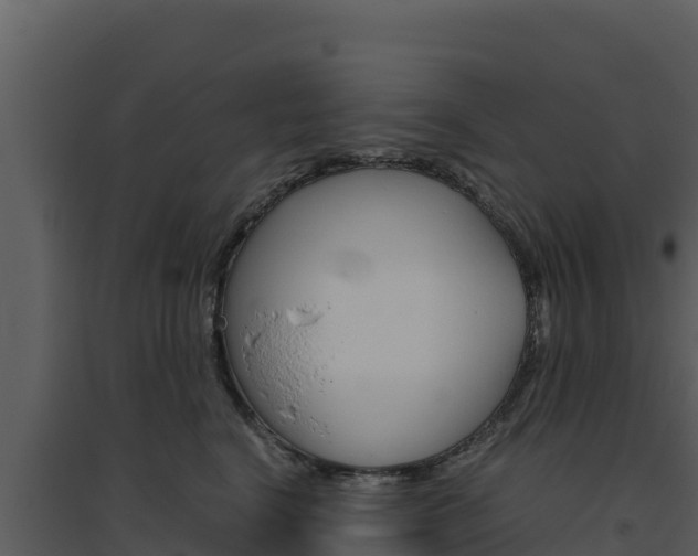 X0000094800664200711160942