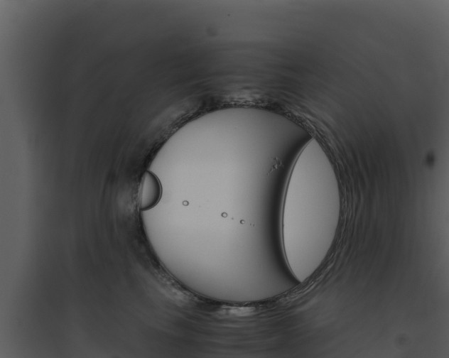 X0000094800665200711160942