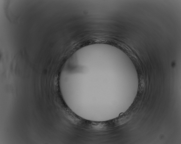 X0000094800667200711160942
