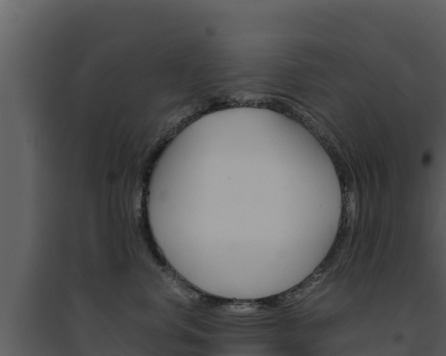 X0000094800668200711160942