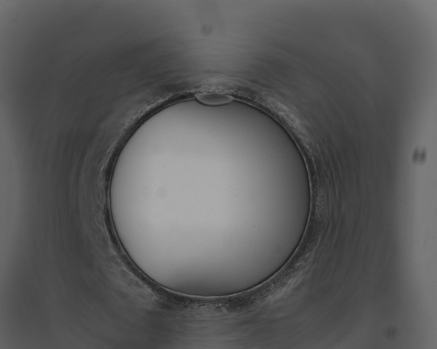 X0000094800673200711160941